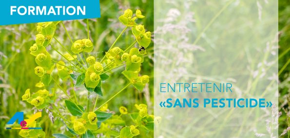 sans-pesticides-2018