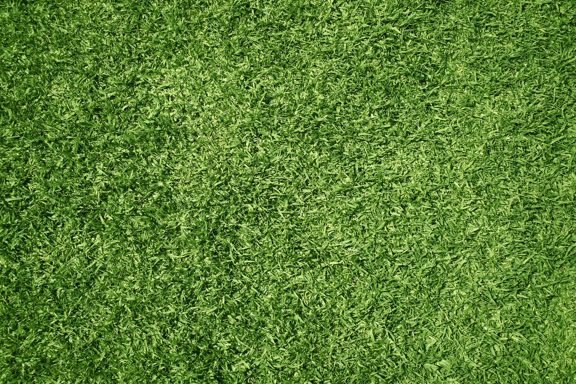 lawn-5897947_1920